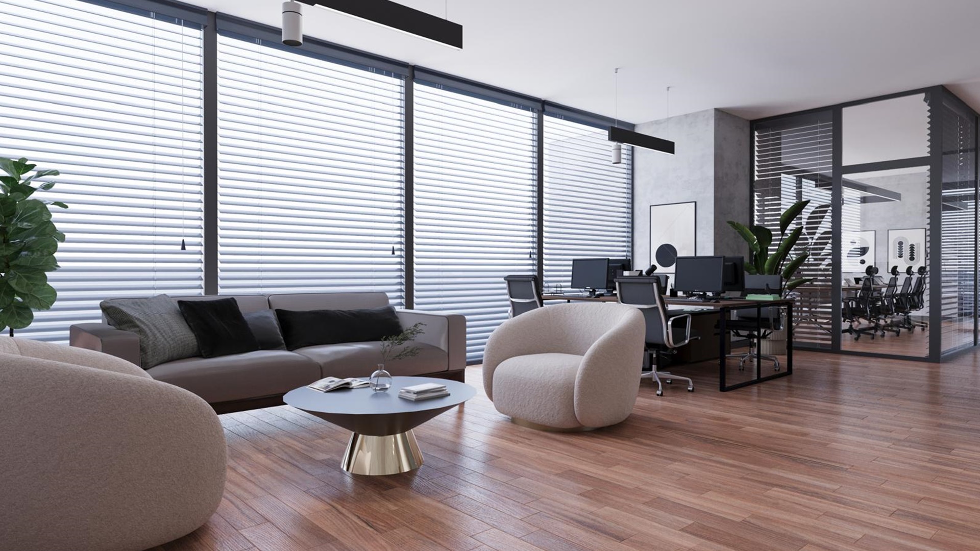 Dream Office Options